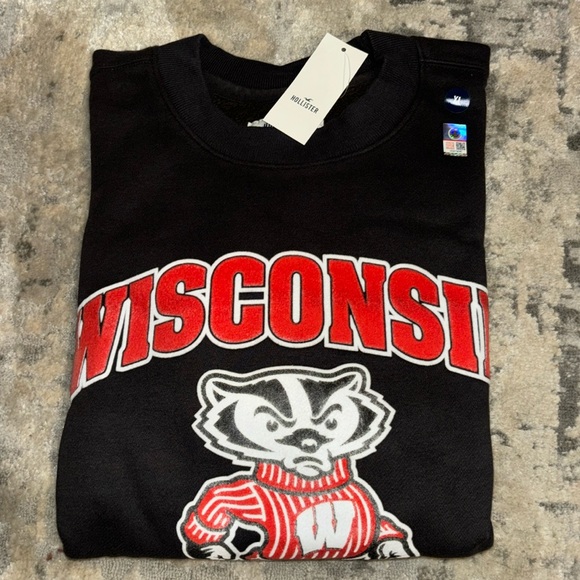 NWT Hollister Boxy University of Wisconsin Graphic Crew Sweatshirt Size XL - Picture 4 of 10